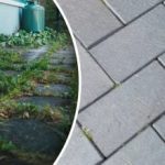 Buruienile din curtea dvs. vor dispărea peste noapte dacă le