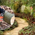 Cale de grădină fără beton și gresie: ce să faci