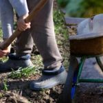 Calendar de însămânțare pentru septembrie 2025: ce trebuie să faceți