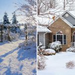 Ce puteți face în grădină în ianie: 7 sfaturi de