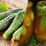 Cum să închideți castraveții în ketchup chilli pentru iarnă: 3