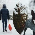 Cum să scapi de gheață în curte și să nu