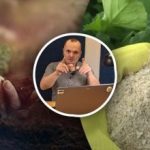 De la răsad la recoltă: expertul numește trei grupuri de îngrășăminte care funcționează De la răsad la recoltă: expertul numește trei grupuri de