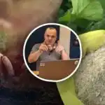 De la răsad la recoltă: expertul numește trei grupuri de