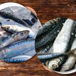 De unde provin heringul și macroul din magazine și cum