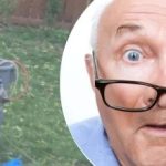 Descoperirea ciudată de lângă copac a lăsat vecinul nedumerit: ce