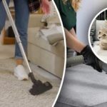 Nici o urmă nu va fi lăsată în urmă: 7 pași pentru a elimina mirosul de urină de pe covor Nici o urmă nu va fi lăsată în urmă: 7