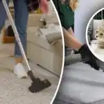 Nici o urmă nu va fi lăsată în urmă: 7