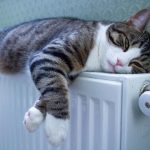 Plasarea foliei în spatele bateriilor este inutilă: există o modalitate mult mai bună Plasarea foliei în spatele bateriilor este inutilă: există o modalitate