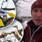 Recolta va fi mai mare: ce pomi fructiferi ar trebui