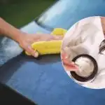 Rezultatul vă va surprinde: șoferii sunt îndemnați să își frece mașina cu o mască de păr Rezultatul vă va surprinde: șoferii sunt îndemnați să își frece