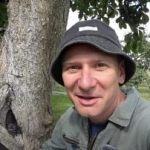 Un copac gol nu este o judecată: un mod dovedit