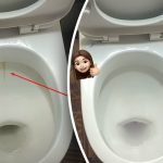 Un produs vă va albi vasul de toaletă până la