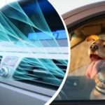 Valul de căldură lovește Ucraina: cum să răcești rapid interiorul