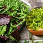 Verdețurile vor rămâne proaspete săptămâni întregi: expertul în gastronomie dezvăluie secretul depozitării corespunzătoare Verdețurile vor rămâne proaspete săptămâni întregi: expertul în gastronomie dezvăluie