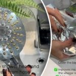 Calcarul acumulat de-a lungul anilor: Cum să curățați un cap