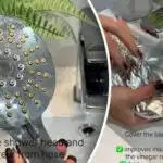 Calcarul acumulat de-a lungul anilor: Cum să curățați un cap