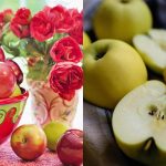 Ce mere sunt bune pentru digestie și nivelul de zahăr: