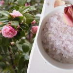 Cu acest remediu, trandafirii vor înflori ca niciodată: Ce este