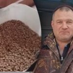 De ce găinile nu fac ouă iarna: cinci factori de