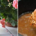 Hrană miraculoasă sau mit inutil: ar trebui să vă udați