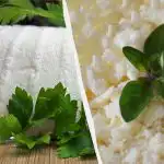 Nu doar zahăr: ce să adăugați la brânza de vaci