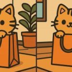 Test IQ: găsiți 3 diferențe într-o imagine cu o pisică drăguță în 45 de secunde Test IQ: găsiți 3 diferențe într-o imagine cu o pisică