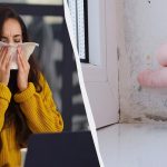 Un aditiv pentru al de un penny se dovedește a