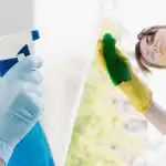 15 minute și ferestrele vor străluci: Cum să curățați exteriorul ferestrelor 15 minute și ferestrele vor străluci: Cum să curățați exteriorul