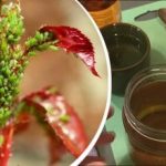 Afidele sunt temute ca focul: doar trei ingrediente și insectele