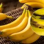 Bananele nu se înnegresc timp de săptămâni: un truc simplu
