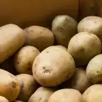 Când să scoateți cartofii din pivniță pentru plantare: calendar popular