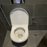 Ce se întâmplă dacă torni Coca-Cola în toaletă peste noapte: un experiment chimic pentru instalatori ce-se-intampla-daca-torni-coca-cola-in-toaleta-peste-noapte.jpg