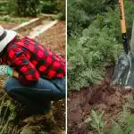 Cum să vă dați seama că solul din grădina dvs.