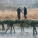 De ce ne temem de fericire în relații: sabotajul pe care nimeni nu îl observă de-ce-ne-temem-de-fericire-in-relatii-sabotajul-pe.jpg