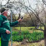 Grădinarii înțelepți au pulverizat grădina cu un singur produs: niciun