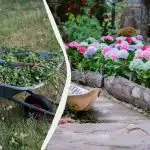 În fiecare an m-am luptat cu buruienile până când am plantat aceste flori: acum nu mai cresc deloc În fiecare an m-am luptat cu buruienile până când am