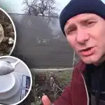 Majoritatea oamenilor fac "cu ochiul liber": fără ce hrănirea cu usturoi nu va da rezultate Majoritatea oamenilor fac "cu ochiul liber": fără ce hrănirea cu