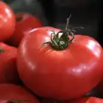 Roșiile de la magazin vor deveni la fel de dulci