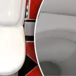 Un truc simplu pentru toaletă și va mirosi ca un