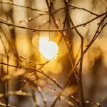 Va exista o furtună magnetică pe 16 martie: prognoza pentru astăzi (program) Va exista o furtună magnetică pe 16 martie: prognoza pentru