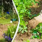 Acest lucru face ca erbicidarea paturilor să fie de două