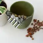 Experții au demontat un mit popular: pietrele de pe fundul