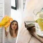 În rețea"bate recorduri" un nou lifehack: cum să curățați ferestrele