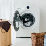 Mucegaiul din mașina de spălat nu a "luat" nicio chimie: ce remediu popular a ajutat mucegaiul-din-masina-de-spalat-nu-a-luat-nicio-chimie.webp.webp