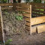 Nu puteți arde frunzele vechi - este mai bine să