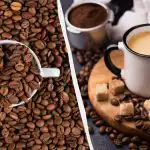 O singură regulă și cafeanu va fi niciodată amară: care ar trebui să fie proporțiile de boabe și apă O singură regulă și cafeanu va fi niciodată amară: care