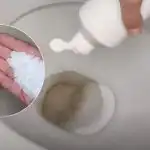 O soluție secretă fără chimicale transformă vasul de toaletă într-un