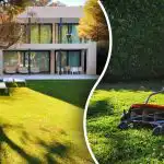 Un produs obișnuit din bucătărie vă va face gazonul perfect: un truc simplu dezvăluit Un produs obișnuit din bucătărie vă va face gazonul perfect: